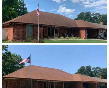 Asphalt shingle roof cleaning and black streak removal in Suncoast Lakes Land O' Lakes