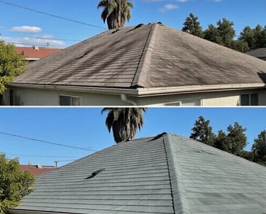 Roof Pressure Washing Service Spring Hill FL