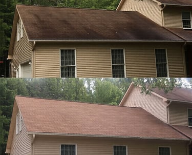 Roof Soft Wash Cleaning in Hudson FL