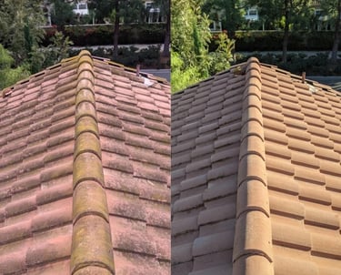 Roof soft wash cleaning service in Trinity FL