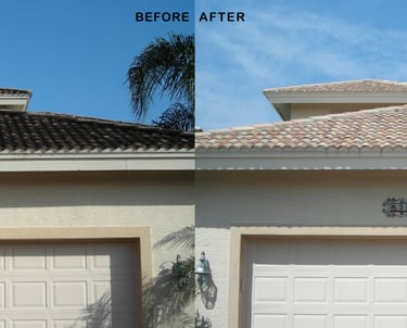 Non-pressure roof cleaning process for delicate tiles in Wilderness Lake Preserve