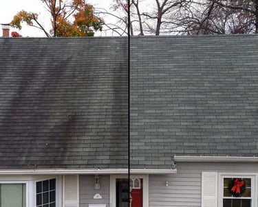 Roof Soft Washing Service Port RIchey FL