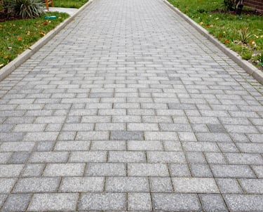 A freshly power washed driveway gleaming under sunlight with clear contrast to the dirty edges.