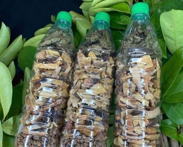 Prophet Pito at Kyaka shrine,” “African healing herbs”