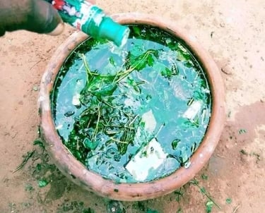 Prophet Pito at Kyaka shrine,” “African healing herbs”