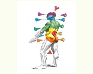 Anatomia dell'anima animale-chakra