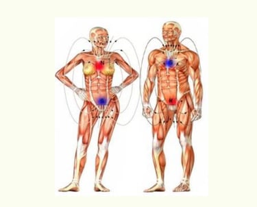 Anatomia dell'anima animale, poli