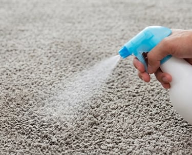 A carpet being sprayed to handle stain & odour removal