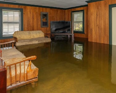 Flood Remediation Services