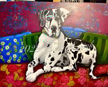 Pet portraits ©2026 Tera Leigh