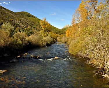 Río Porma en León. Río pesquero