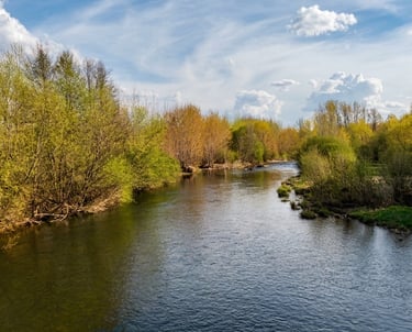 Río Órbigo en León, río pesquero