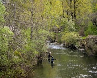 Pescador junto a su guía de pesca en un río de León, España