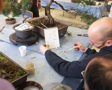 Bonsai workshop, teaching bonsai