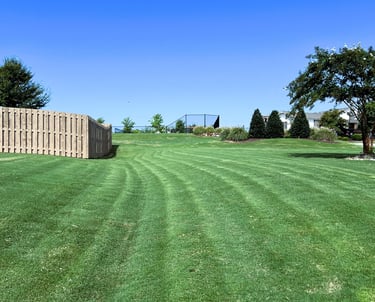 Green lawn with a blue sky above, crepe myrtle tree on the right, and fence on the left.