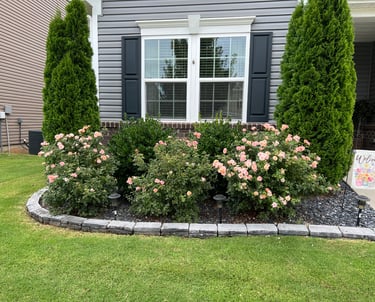 Front flowerbed with shrubs, newly installed grey stone border and slate for mulch.