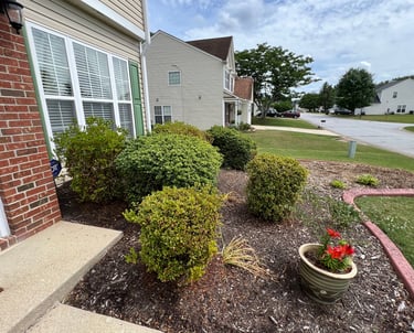 Sideways view of the flowerbed before new plants were installed.