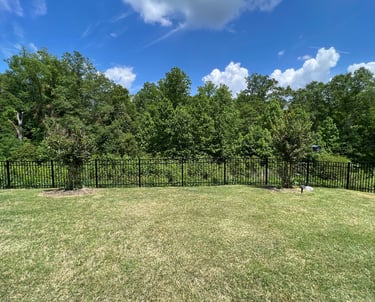 Back flower bed before the project showing two crepe myrtle trees against a black fence.