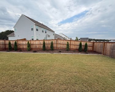 Landscape design along back fence with arborvitaes, azaleas, and butterfly bushes with a stone border and cane rock for mulch