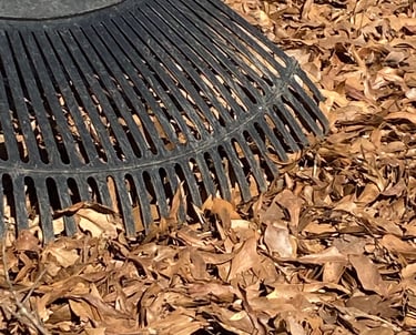 Black rake resting over fall leaves.