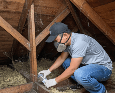 A pest control professional wearing a respirator mask treats an attic for insects near fiberglass insulation.