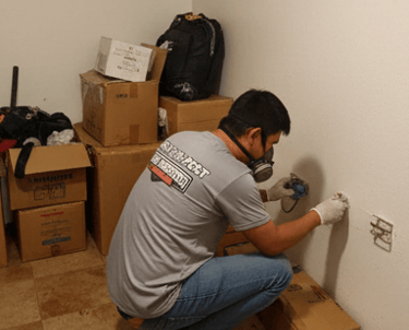 A technician wearing a respirator mask performs mold remediation on a basement wall near storage boxes.