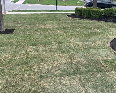 Landscaping by TN Professional Services