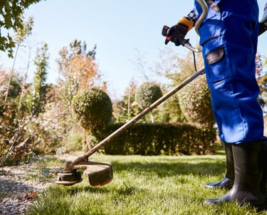 Landscaping services in Dubai