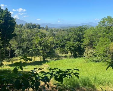 La Propiedad perfecta en Jarabacoa