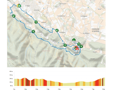 Trail Vitis