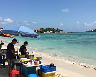 Colorful, artistic letters forming the word 'DOMINICA' are displayed along a seaside promenade. The letters are uniquely styled with vibrant patterns and illustrations, showcasing various elements of Dominican culture and nature. In the background, the ocean extends to the horizon under a partly cloudy sky, with lush green hills visible on the left side.