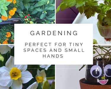 Gardening workshop | Elite Helper Academy 