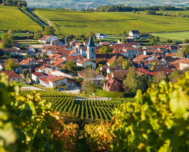 10 удивительных фактов о шампанском - nvwine.fr