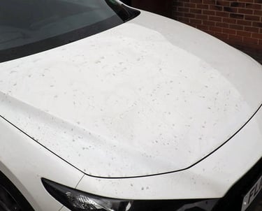 Initial Car Wash on White Car