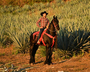 EL VILLANO