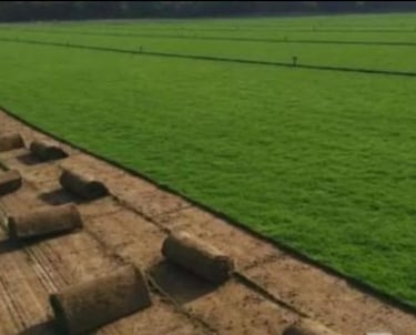 تنسيق حدائق بالرياض – تركيب عشب صناعي