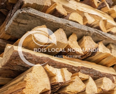 une pile de bûches empilées les unes sur les autres