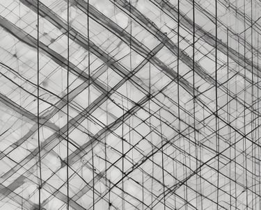 A monochrome image featuring an illuminated neural network pattern resembling a human brain against a dark background. Below the brain image is a text section, which includes the title 'seeing the beautiful brain today' in bold and descriptive text about advances in neuroscience and imaging techniques.