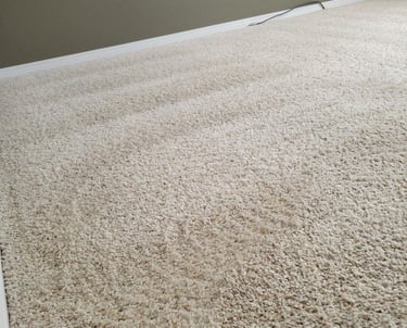 clean spotless white carpet