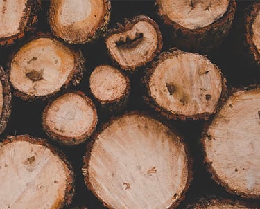 rondins de bois