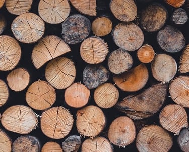 plusieurs rondins de bois