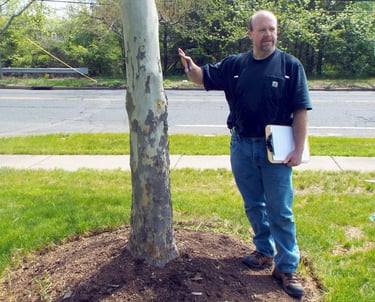 Christian Plunkett Consulting Arborist