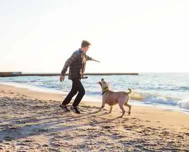 Reliable pet sitting and dog walking on the beach in Lynnwood, Bothell Everett, and Mukilteo