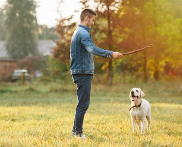 Reliable pet sitting and dog walking, sitting and playing in Lynnwood, Bothell Everett, and Mukilteo