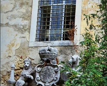 Imóvel Público Devoluto