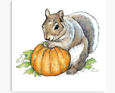 Illustration of a squirrel with a pumpkin