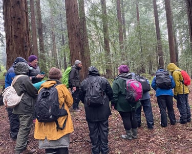 a group of people standing in a forest