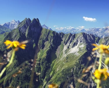 Höfats Sonne berge Arnika im Vordergrund Wolken