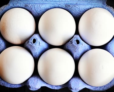 Planta de Fábrica de Clara de Ovo em Pó - Informe-se