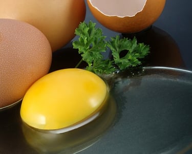 Como Montar Fábrica de Gema Líquida - Informações extras